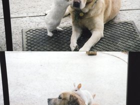 19------ Zach and Magic (c) Star.jpg